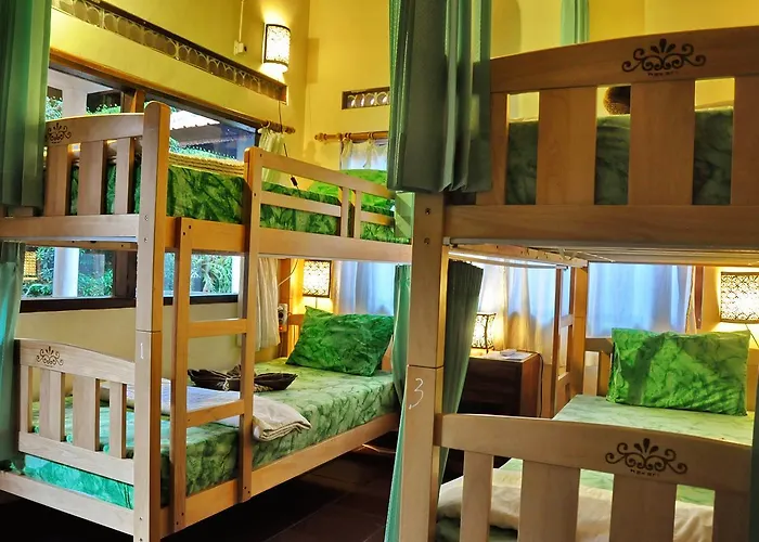 Auberge de jeunesse Soni Backpacker House