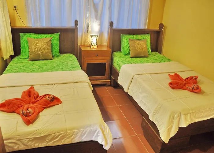 Auberge de jeunesse Soni Backpacker House *