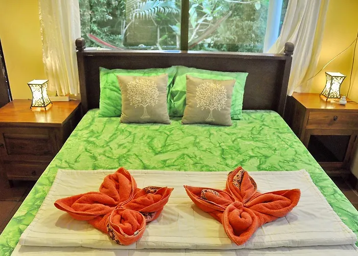 Soni Backpacker House